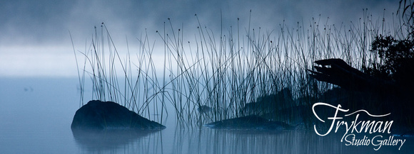 Reeds in Morning Fog - Panorama