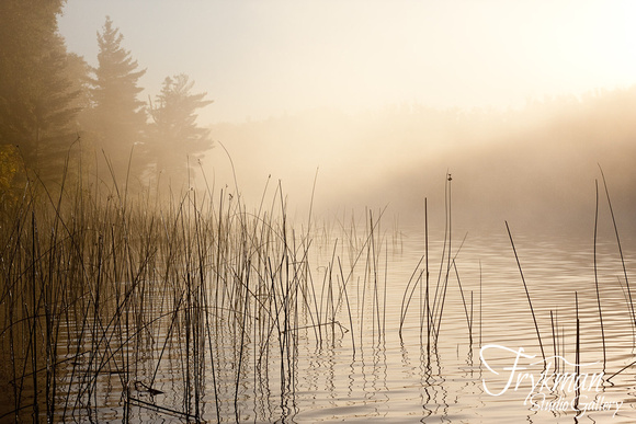 Good Lake - Morning Fog #4