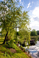 Dock Under the Willow