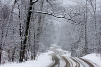 Road to Northport - Winter