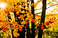 Door County, Wisconsin (Autumn)