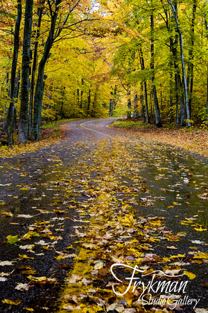 Leaves on Little Lake Road