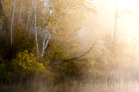 Good Lake - Morning Fog #1